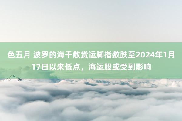 色五月 波罗的海干散货运脚指数跌至2024年1月17日以来低点，海运股或受到影响