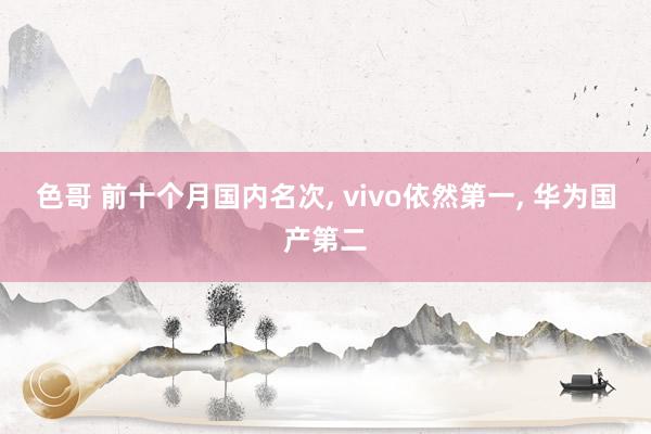 色哥 前十个月国内名次, vivo依然第一, 华为国产第二