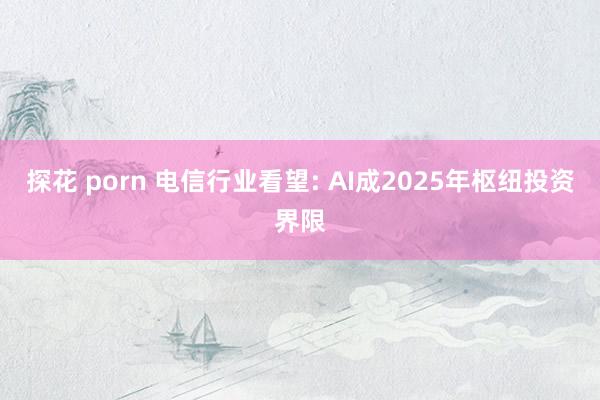 探花 porn 电信行业看望: AI成2025年枢纽投资界限