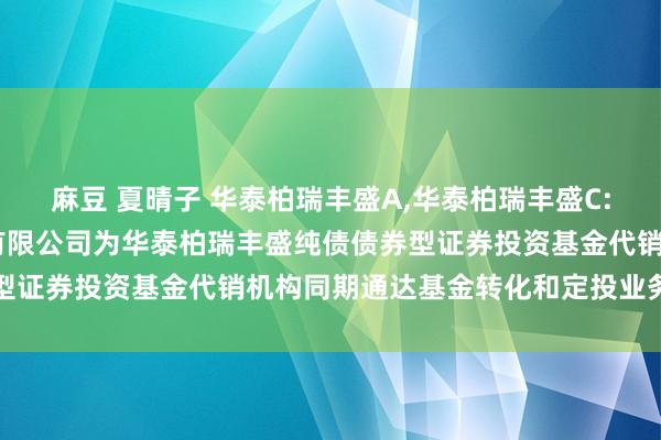 麻豆 夏晴子 华泰柏瑞丰盛A,华泰柏瑞丰盛C: 对于加多广发证券股份有限公司为华泰柏瑞丰盛纯债债券型证券投资基金代销机构同期通达基金转化和定投业务的见告