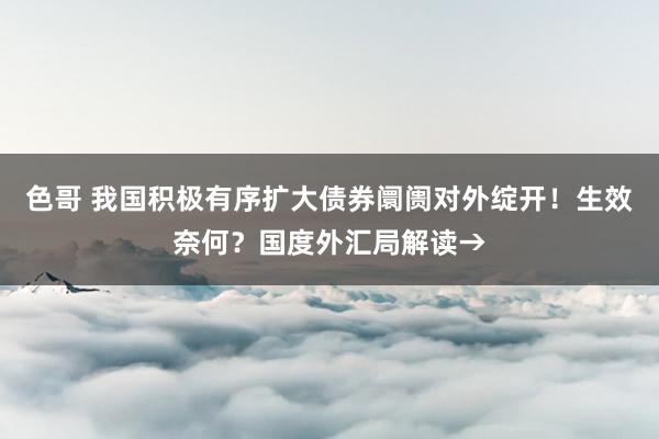 色哥 我国积极有序扩大债券阛阓对外绽开！生效奈何？国度外汇局解读→