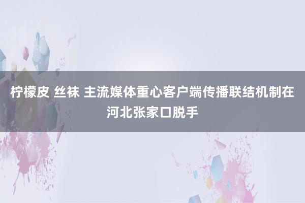 柠檬皮 丝袜 主流媒体重心客户端传播联结机制在河北张家口脱手