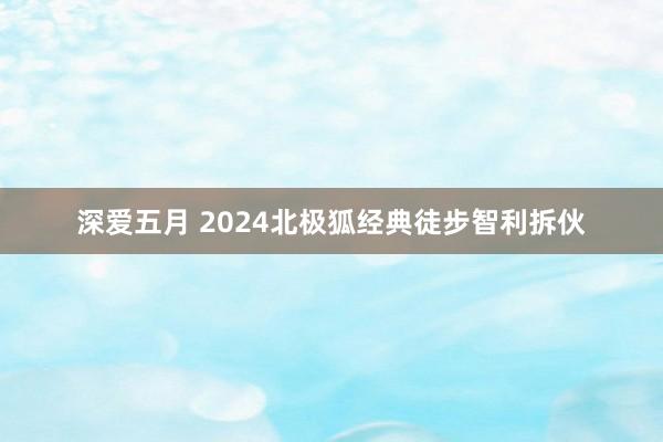 深爱五月 2024北极狐经典徒步智利拆伙