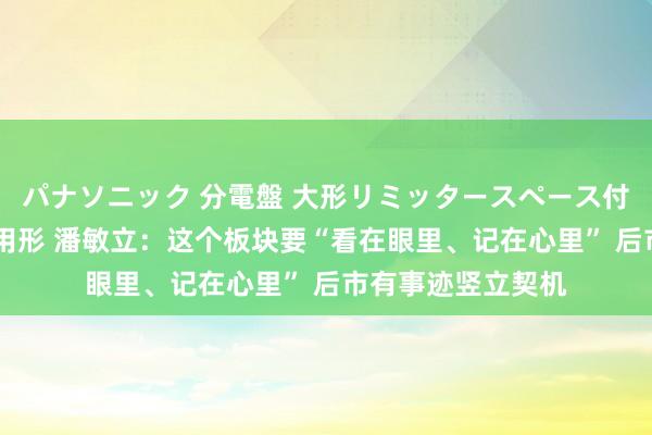 パナソニック 分電盤 大形リミッタースペース付 露出・半埋込両用形 潘敏立：这个板块要“看在眼里、记在心里” 后市有事迹竖立契机