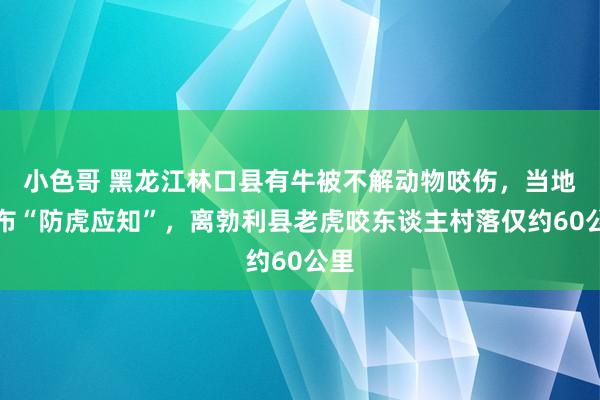 小色哥 黑龙江林口县有牛被不解动物咬伤，当地发布“防虎应知”，离勃利县老虎咬东谈主村落仅约60公里