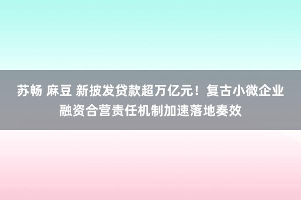 苏畅 麻豆 新披发贷款超万亿元！复古小微企业融资合营责任机制加速落地奏效