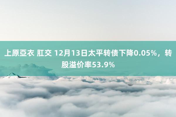 上原亞衣 肛交 12月13日太平转债下降0.05%，转股溢价率53.9%