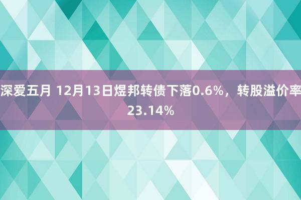 深爱五月 12月13日煜邦转债下落0.6%，转股溢价率23.14%