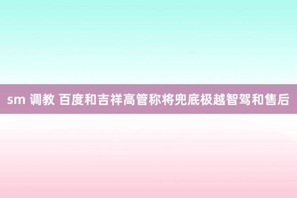 sm 调教 百度和吉祥高管称将兜底极越智驾和售后