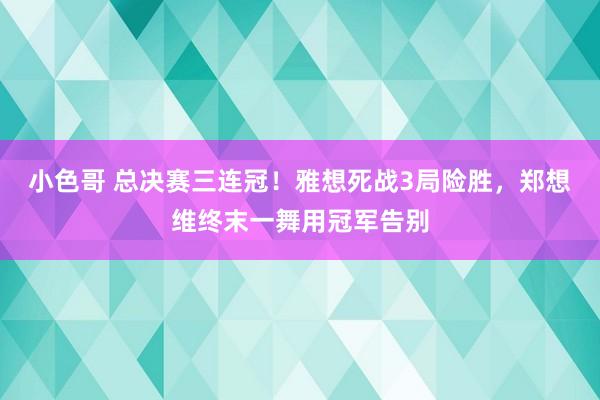 小色哥 总决赛三连冠！雅想死战3局险胜，郑想维终末一舞用冠军告别