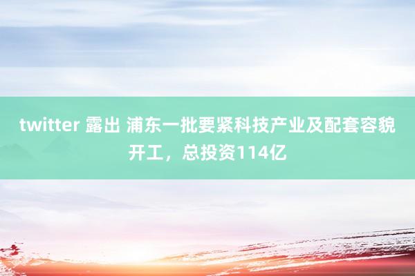 twitter 露出 浦东一批要紧科技产业及配套容貌开工，总投资114亿