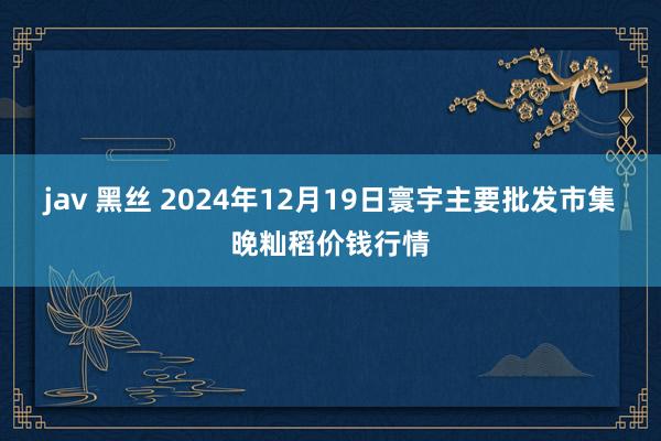 jav 黑丝 2024年12月19日寰宇主要批发市集晚籼稻价钱行情