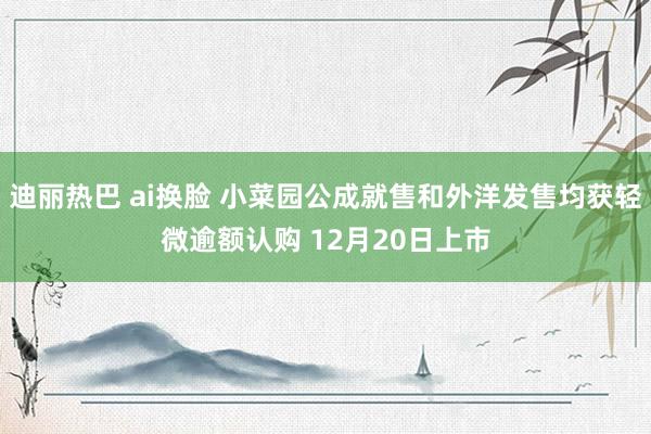 迪丽热巴 ai换脸 小菜园公成就售和外洋发售均获轻微逾额认购 12月20日上市