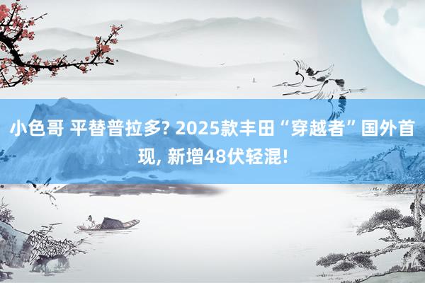 小色哥 平替普拉多? 2025款丰田“穿越者”国外首现, 新增48伏轻混!