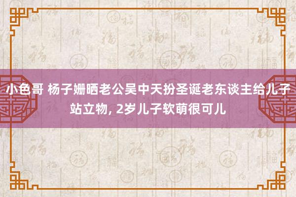 小色哥 杨子姗晒老公吴中天扮圣诞老东谈主给儿子站立物, 2岁儿子软萌很可儿