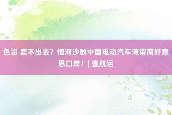 色哥 卖不出去？恒河沙数中国电动汽车淹留南好意思口岸！| 壹航运