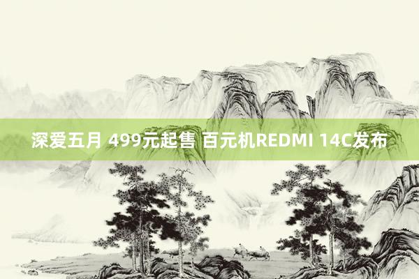 深爱五月 499元起售 百元机REDMI 14C发布