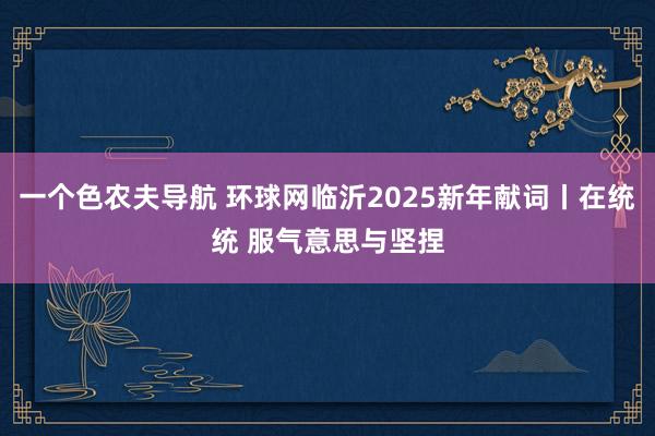 一个色农夫导航 环球网临沂2025新年献词丨在统统 服气意思与坚捏