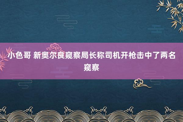 小色哥 新奥尔良窥察局长称司机开枪击中了两名窥察