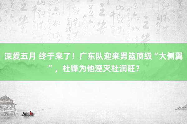 深爱五月 终于来了！广东队迎来男篮顶级“大侧翼”，杜锋为他湮灭杜润旺？