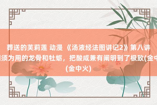 葬送的芙莉莲 动漫 《汤液经法图讲记2》第八讲：相须为用的龙骨和牡蛎，把酸咸兼有阐明到了极致(金中火