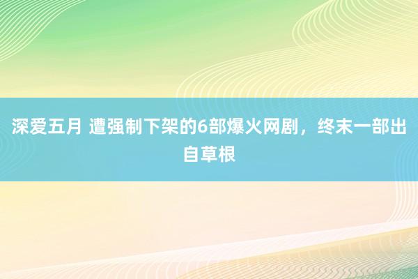 深爱五月 遭强制下架的6部爆火网剧，终末一部出自草根