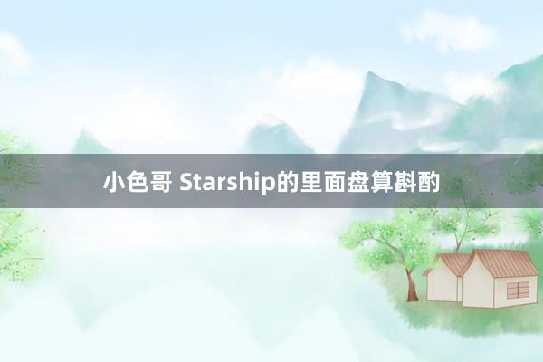 小色哥 Starship的里面盘算斟酌