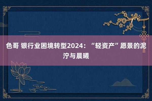 色哥 银行业困境转型2024：“轻资产”愿景的泥泞与晨曦