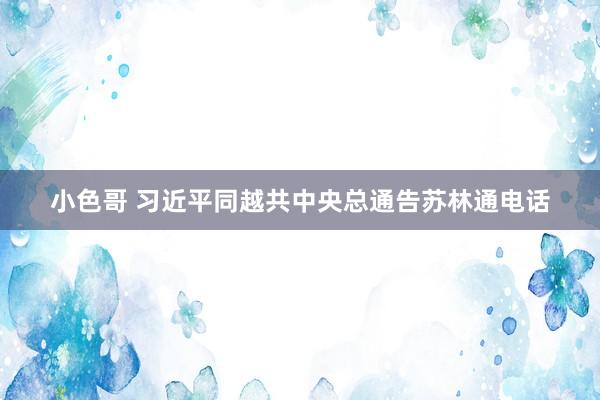 小色哥 习近平同越共中央总通告苏林通电话