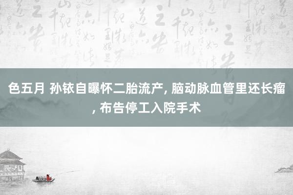 色五月 孙铱自曝怀二胎流产, 脑动脉血管里还长瘤, 布告停工入院手术