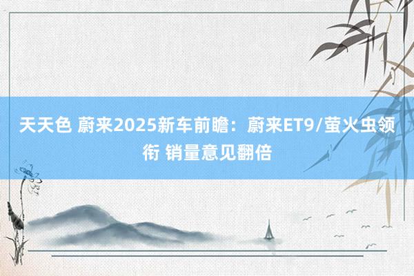 天天色 蔚来2025新车前瞻：蔚来ET9/萤火虫领衔 销量意见翻倍