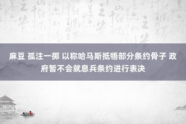 麻豆 孤注一掷 以称哈马斯抵牾部分条约骨子 政府暂不会就息兵条约进行表决